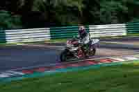 Evening_Low_Mid_Group